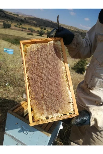 OZMUŞ BAL   Üretimden Dev Kampanya Çıta Bal  2,7- 3 kg