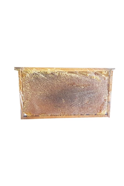 Taşlı Geçit   Organik Çiçek Petek Balı (1 Kg) - 2