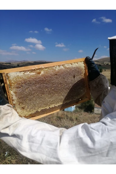 OZMUŞ BAL Çıta Bal 3,4kg