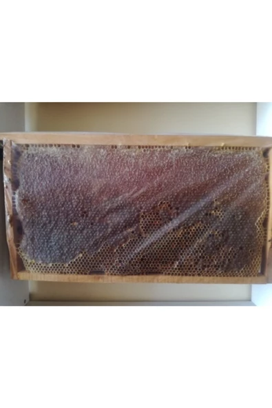 OZMUŞ BAL Petek Bal 2.5- 3kg