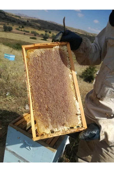 Sivas Dükkan   Petek Bal 3kg