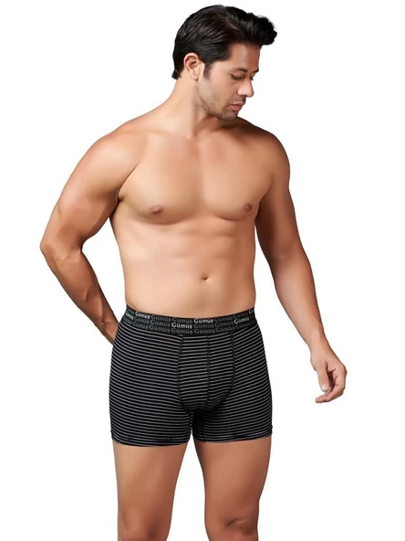 6 Adet Gümüş Erkek Çizgili Likralı Spor Boxer 3114