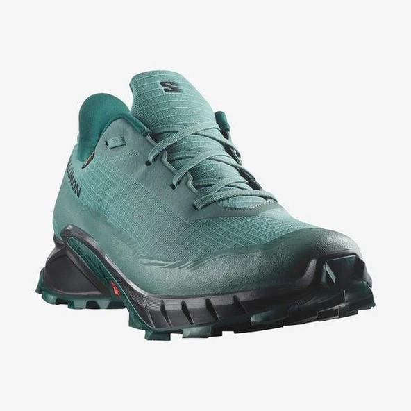 Salomon Alphacross 5 Gtx Erkek Koşu Ayakkabısı - 5