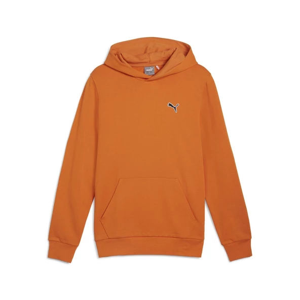 Puma BETTER ESSENTIALS Hoodie Erkek Sweatshirt ürün görseli 1