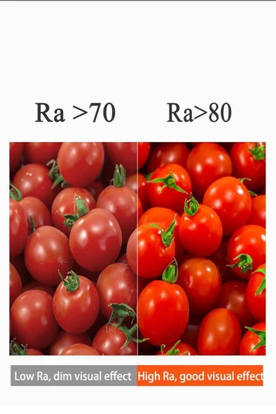 Panasonic 8,5W (63W) Led Ampul 6500K - Beyaz Işık - Resim 6