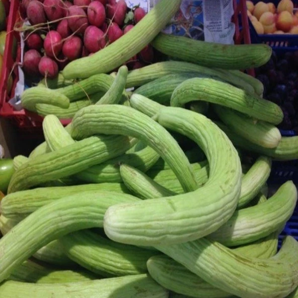 İnce Uzun Meyveli Dağcı Acur Tohumu (20 adet)