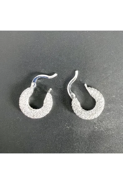 Zirkon Taşlı Gümüş Kaplama Bijuteri Küpe 2 - 2