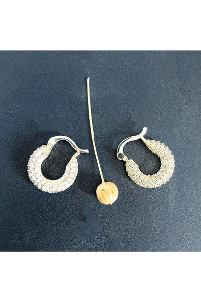 Zirkon Taşlı Altın Kaplama Bijuteri Küpe 2 - 2