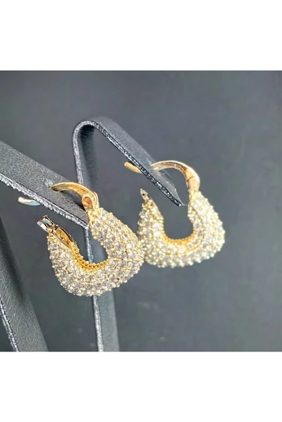 Radüslü Çanta Modeli Altın Kaplama Bijuteri Küpe - Resim 2