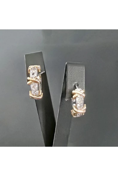 Zirkon Taşlı Gümüş ve Altın Kaplama İki Renk Bijuteri Küpe - Resim 2