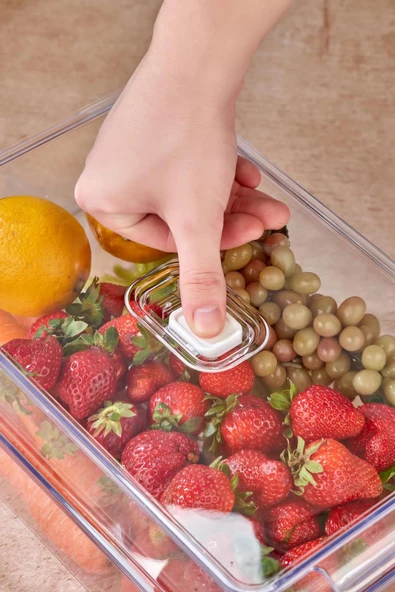 2'li Orta Boy Vakum Düğmeli Kapaklı Dolap İçi Organizeri & Kırılmaz Düzenleyici Kutu (4,5Lt) - 4