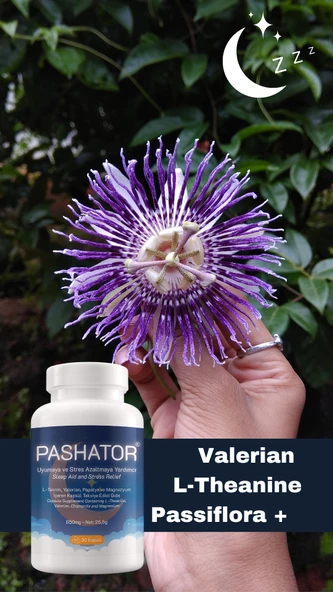 Pashator Stresi Azaltmaya Ve Derin Uykuya Yardımcı Bitkisel Takviye - 4