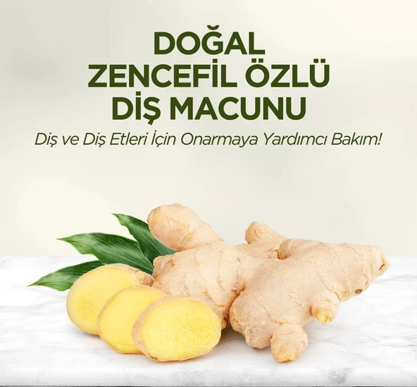 Eyüp Sabri Tuncer Doğal Diş Macunu 90 Gr Zencefil Özlü - 2