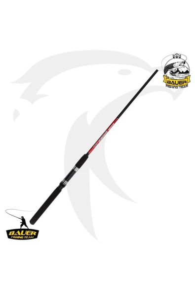 Spinex 240 (10-40gr ) Spin Kamışı - 2