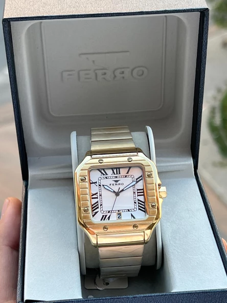 Ferro Çelik Kordon Takvimli Kadran 30 Mt Suya Dayanıklı Erkek Kol Saati EFM11448-B ürün görseli