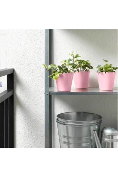 Saksı  Ikea Sommar 2019 9 cm - 3