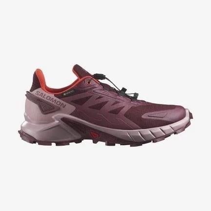 Salomon Supercross 4 Gtx W Kadın Koşu Ayakkabısı