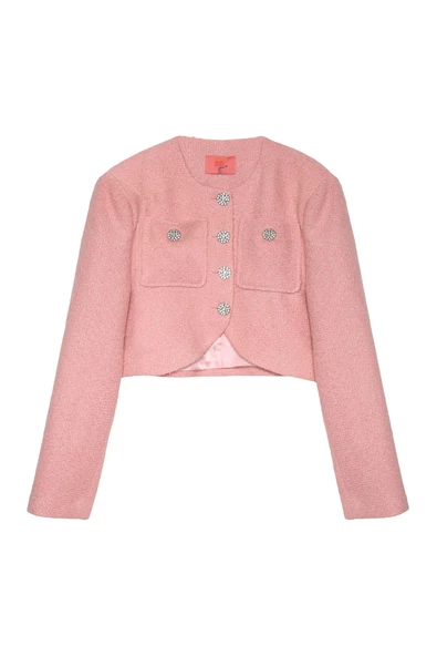 Parlak Taşlı Simli Tüvit Ceket Pembe - 5