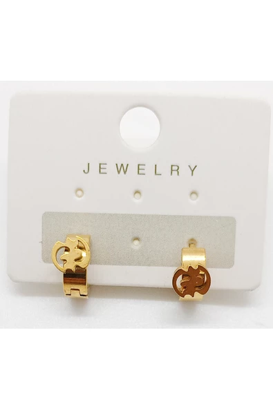 316 L Çelik Gold Renk Unisex Figürlü  Küpe ürün görseli 1