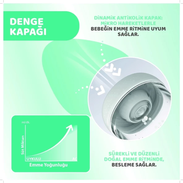 Chicco Perfect 5 Antikolik Biberon PP 300 ml Girl - 6