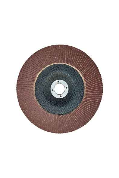 Egesan 180mm 80 Kum Flap Disk