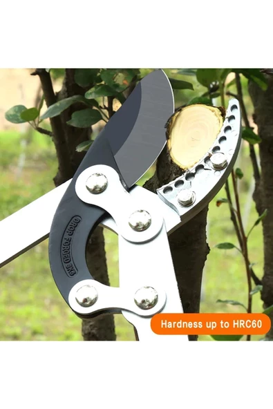 Baytec Bay-tec Teleskopik Uzatmalı Süper Dal Budama Makası 6cm Ağız - 4