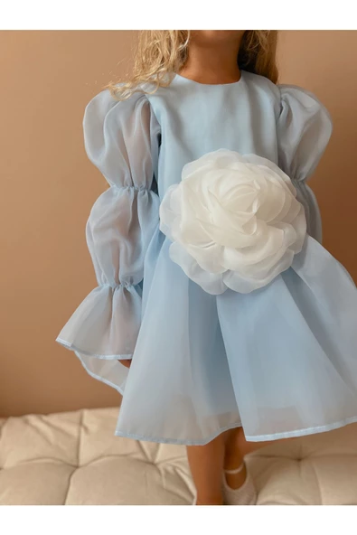 Rose Şifon Kız Çocuk Parti Elbisesi - 3