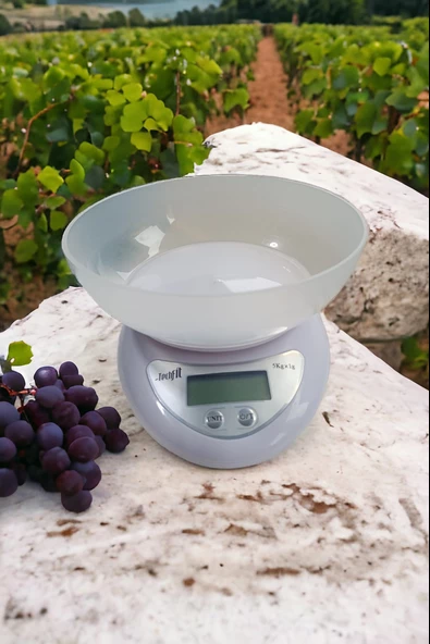 Girist TF-1000 Hazneli Dijital Mutfak Terazisi - 2