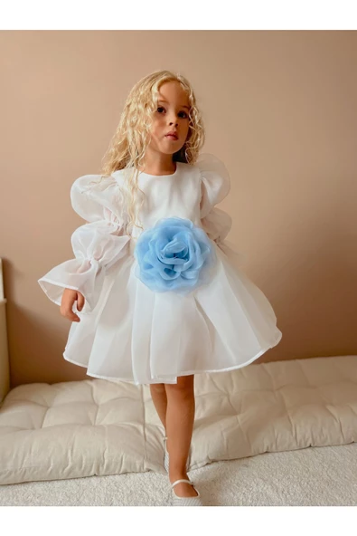 Rose Şifon Kız Çocuk Parti Elbisesi - 5
