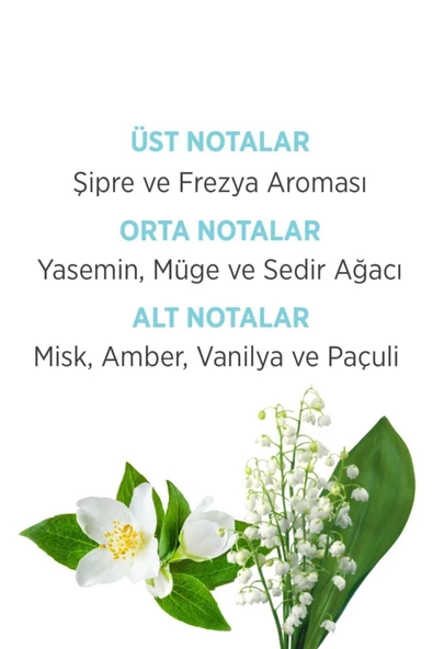 Emotion Ocean Fresh Edt Kadın Parfüm 50 Ml & Deodorant 150 Ml Kofre Set - 3