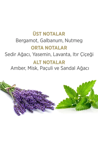 Privacy Gold Men Edt Erkek Parfüm 2 X 100 Ml + Deodorant 4 X 150 Ml - 6