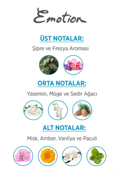 Emotion Ocean Fresh 2 Adet 50ml Edt Kadın Parfüm - 4