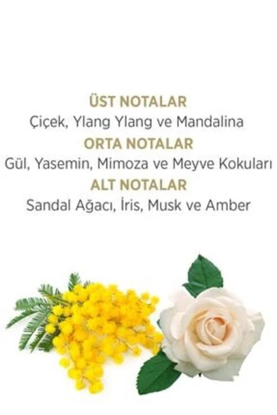 Privacy Prıvacy Gold Sensation Edt 100 Ml Kadın Parfüm Ve 150 Ml Deodorant Kofre Set - 3