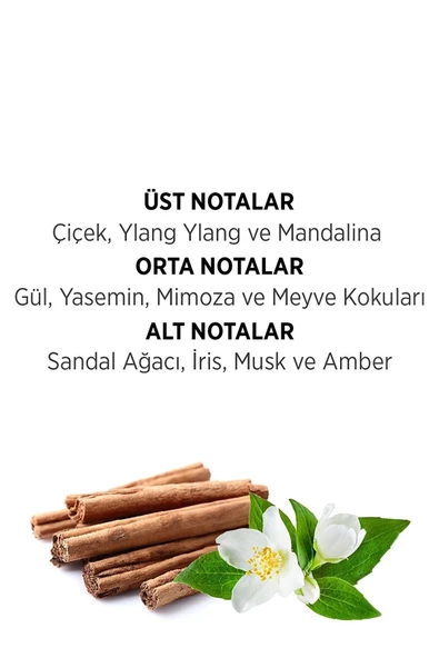 Privacy Woman Edt 100 Ml - 4