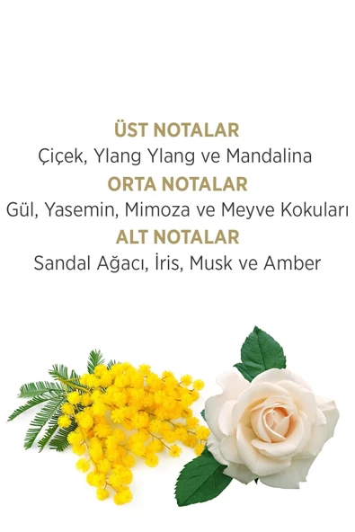 Privacy Gold Woman EDT Parfüm 100ml + Deodorant 150ml - 3