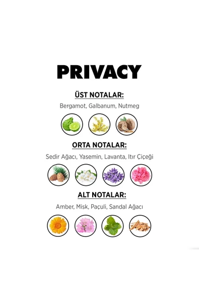 Privacy Gold Men Edt Erkek Parfüm 100ml - 4