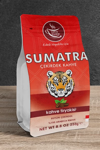Sumatra Çekirdek Kahve (Single Origin) 250 gr - 2