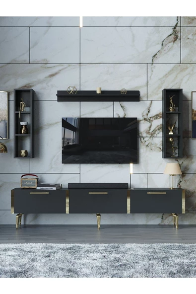 Myniture Home & Living Festival Tv Ünitesi G3008-4-Y1-D1 Gold Antasit - Resim 2