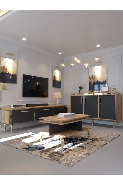 Myniture Home & Living Festival Tv Sehpası - Konsol - Orta Sehpa Ant. Çam Gold G-SET-4-4-6
