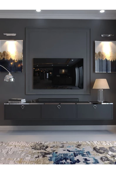 Myniture Home & Living Festival Tv Sehpası DV-Q17-SPVC-4 Silver Antrasit Minifiks Bağlantı Duvara Monte Tv Ünitesi - 2