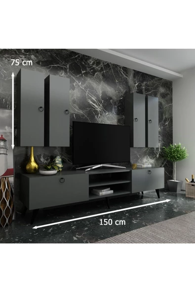 Myniture Home & Living Festival Tv Ünitesi Q3821-4 Antrasit - 2