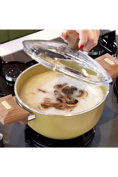 SCHAFER Fiesta Seramik Derin Tencere 20 Cm-Yeşil - 5