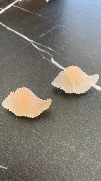 Parlak Şeffaf Somon Renkli İstiridye Şekilli Gümüş Aksesuarlı Epoksi Küpe El Yapımı Hediyelik - Resim 8