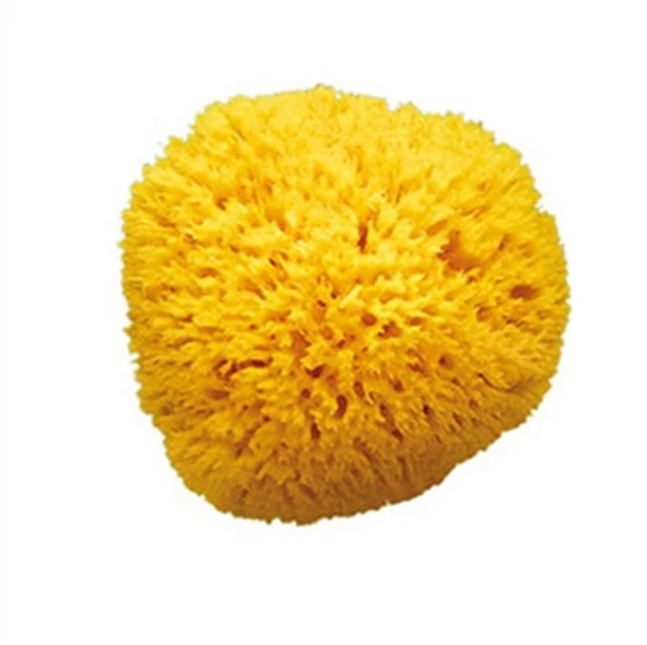 OkBaby Doğal Banyo Süngeri / Küçük - 2