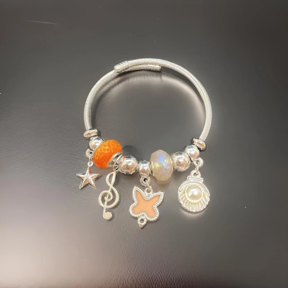 Her Anınıza Neşe Katacak: Büyüleyici Gümüş Renk 316L Antialerjik Model Kadın Çelik Bileklik ürün görseli 1