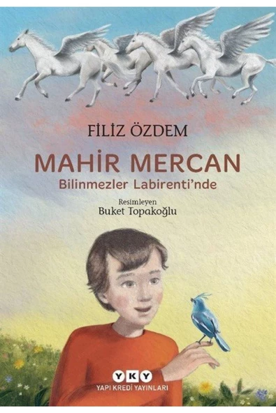 Yky / Mahir Mercan (Bilinmezler Labirentinde)