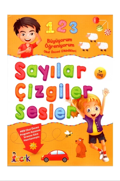 Sayılar Çizgiler Sesler / Büyüyorum Öğreniyorum