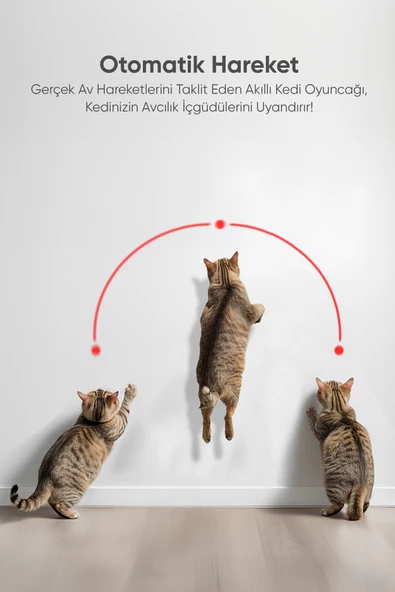 Şımart Akıllı Lazer Kedi Oyuncağı - 4