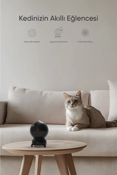 Şımart Akıllı Lazer Kedi Oyuncağı - 2