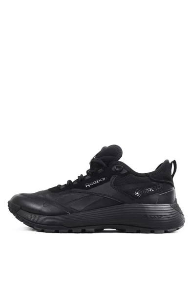 Reebok DMX TRAIL GTX Siyah Erkek Koşu Ayakkabısı 100074961 - 2